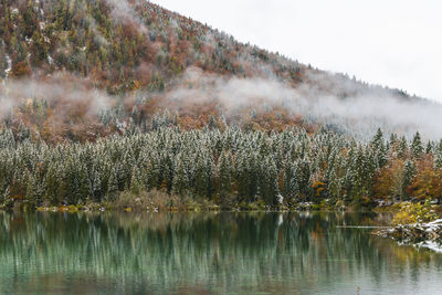 Scenic view of lake by trees against sky