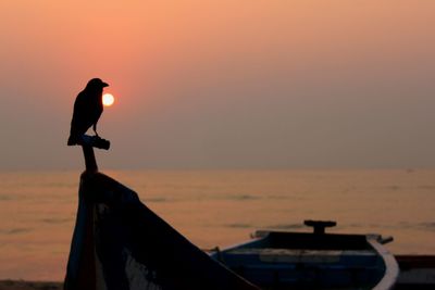 Side view of a bird perched on pole against calm sea