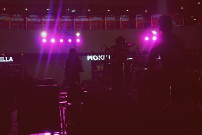 Musician performing in music concert