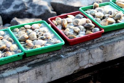 High angle view of mussels for sale at fish market