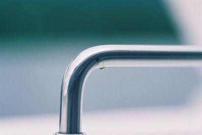 Close-up of insect on metal