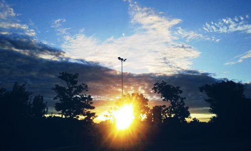 Low angle view of silhouette trees against sky during sunset