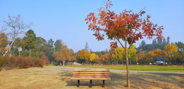 Park bench by trees on field against sky during autumn