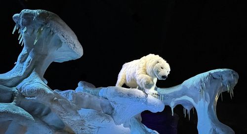 Close-up of statue against black background