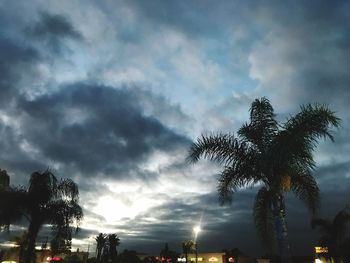 Low angle view of silhouette palm trees against sky