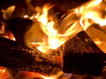 Close-up of bonfire at night