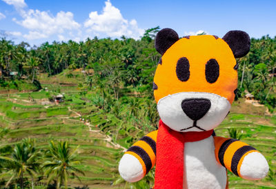 Close-up of stuffed toy on field against sky