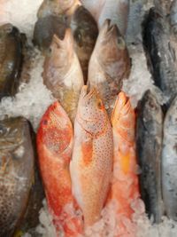 High angle view of fish for sale in market