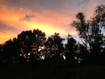 Low angle view of silhouette trees against sky at sunset