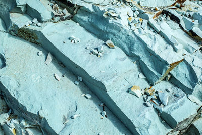 High angle view of fishes in snow