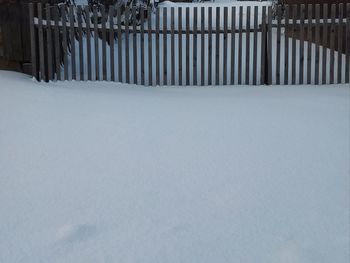 Snow covered field