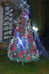 Illuminated christmas tree at night