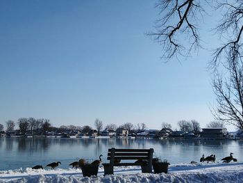 Scenic view of lake against clear blue sky