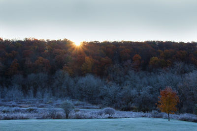 Trees on snow covered landscape against sky during sunset