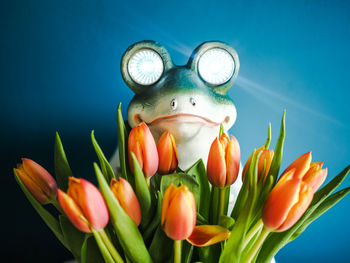 Close-up of multi colored tulips against blue background