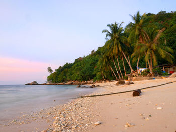 Scenic view of beach against sky