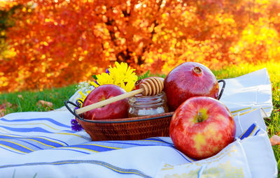 Apples and honey dipper with basket on picnic blanket