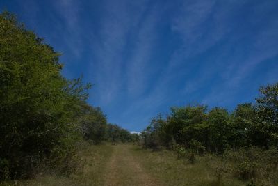 Scenic view of grassy field against cloudy sky