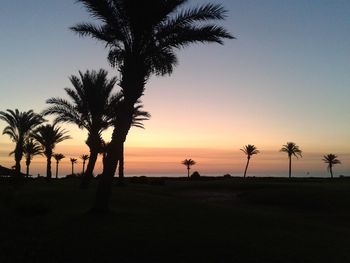 Silhouette palm trees at sunset