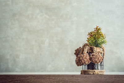 Close-up of potted plant on table against wall