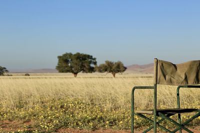 Scenic view of field against clear sky