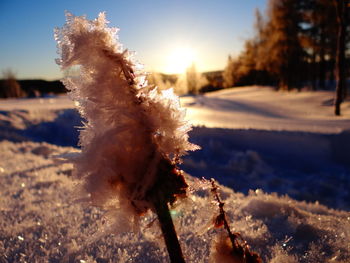 Close up of snow