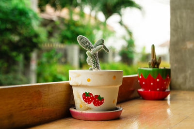 Two colorful pots with cactus on a wooden table in a cafe.