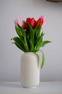 Close-up of flower vase against white background