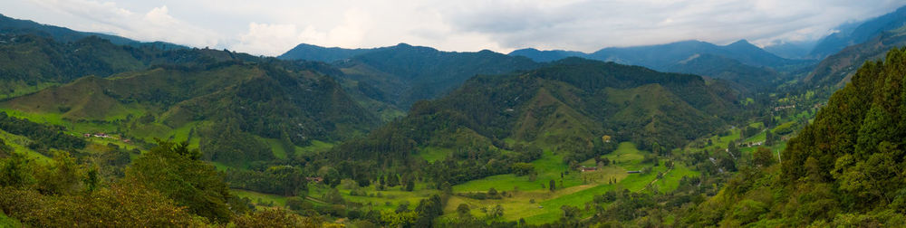 Panoramic view of cocora valley in colombia