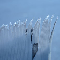 Close-up of frozen metal fence