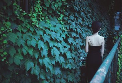 Rear view of woman walking by plants