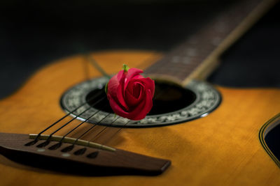 Close-up of rose on guitar