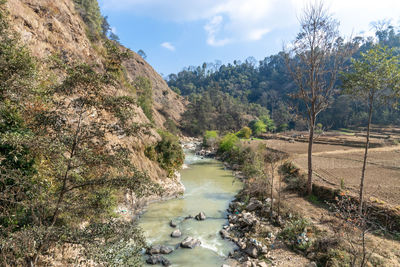 Scenic view of river amidst trees against sky