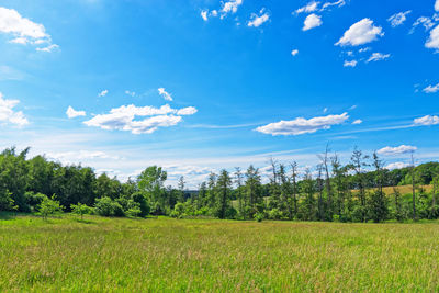 Scenic view of field against sky