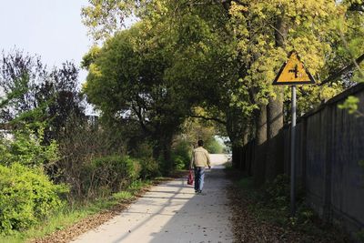 Rear view of man walking on pathway along trees