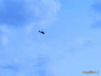 Low angle view of airplane flying in sky