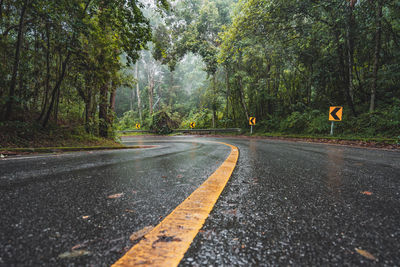 Surface level of road amidst trees during rainy season