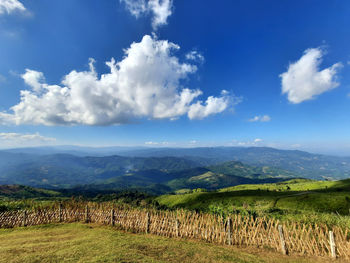 Scenic view of agricultural field against sky