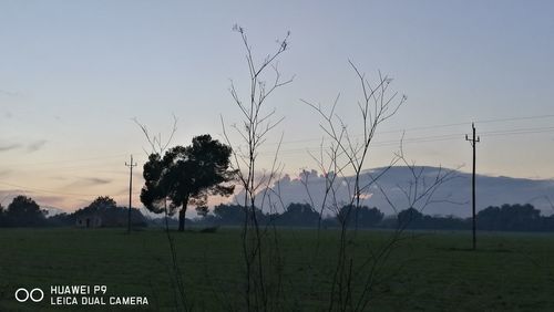 Scenic view of field against sky during sunset