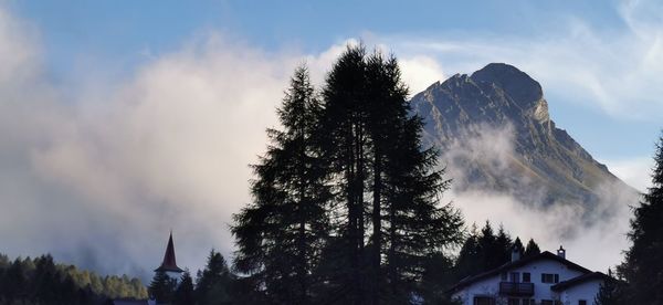 Low angle view of trees and buildings against sky