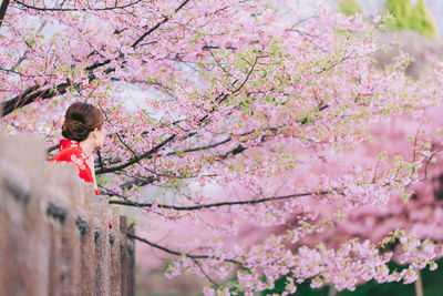 Side view of woman standing against pink cherry blossom trees
