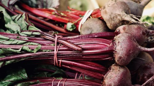 Close-up of common beets at market