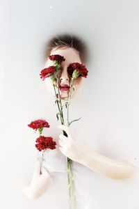 Close-up of red flower over white background