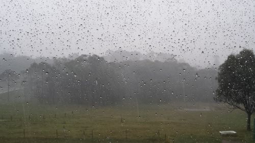 Full frame shot of wet window in rainy season