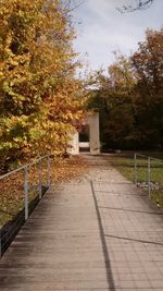 View of trees in autumn