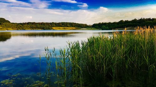 Scenic view of lake against cloudy sky