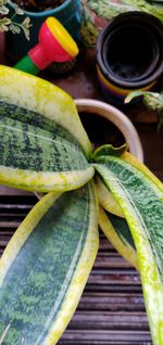 Close-up of fruits for sale in market