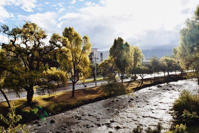 Scenic view of river by trees against sky