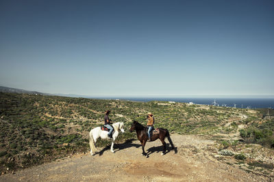 Two horses on the ground