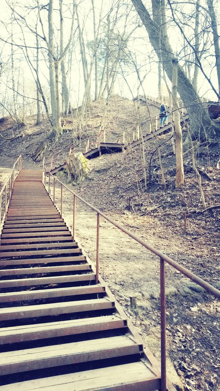 tree, railing, steps, steps and staircases, lifestyles, the way forward, bare tree, leisure activity, staircase, men, walking, park - man made space, footbridge, clear sky, day, person, outdoors, full length